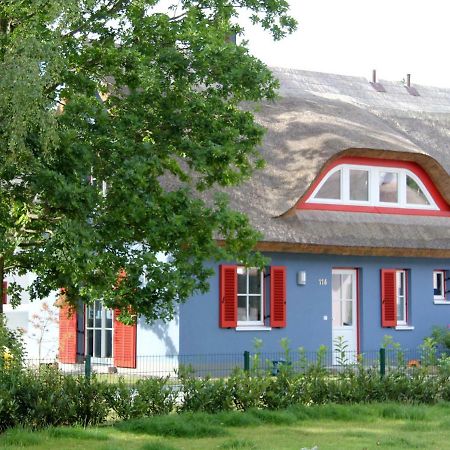 גלווה Strandhaus Lucky, Sauna, Garten, Kamin, Strandnah מראה חיצוני תמונה