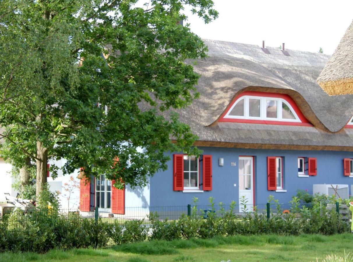 גלווה Strandhaus Lucky, Sauna, Garten, Kamin, Strandnah מראה חיצוני תמונה